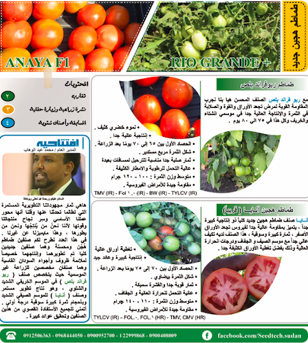 SEEDTECH MAGAZINE 4