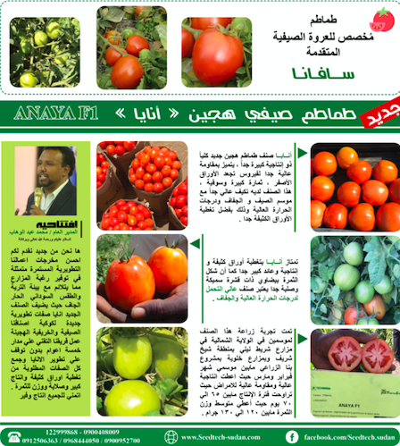 SEEDTECH MAGAZINE 6