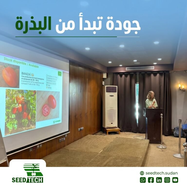 فريق سيدتك في فعالية TECHNISEM Clients Experience بالدار البيضاء